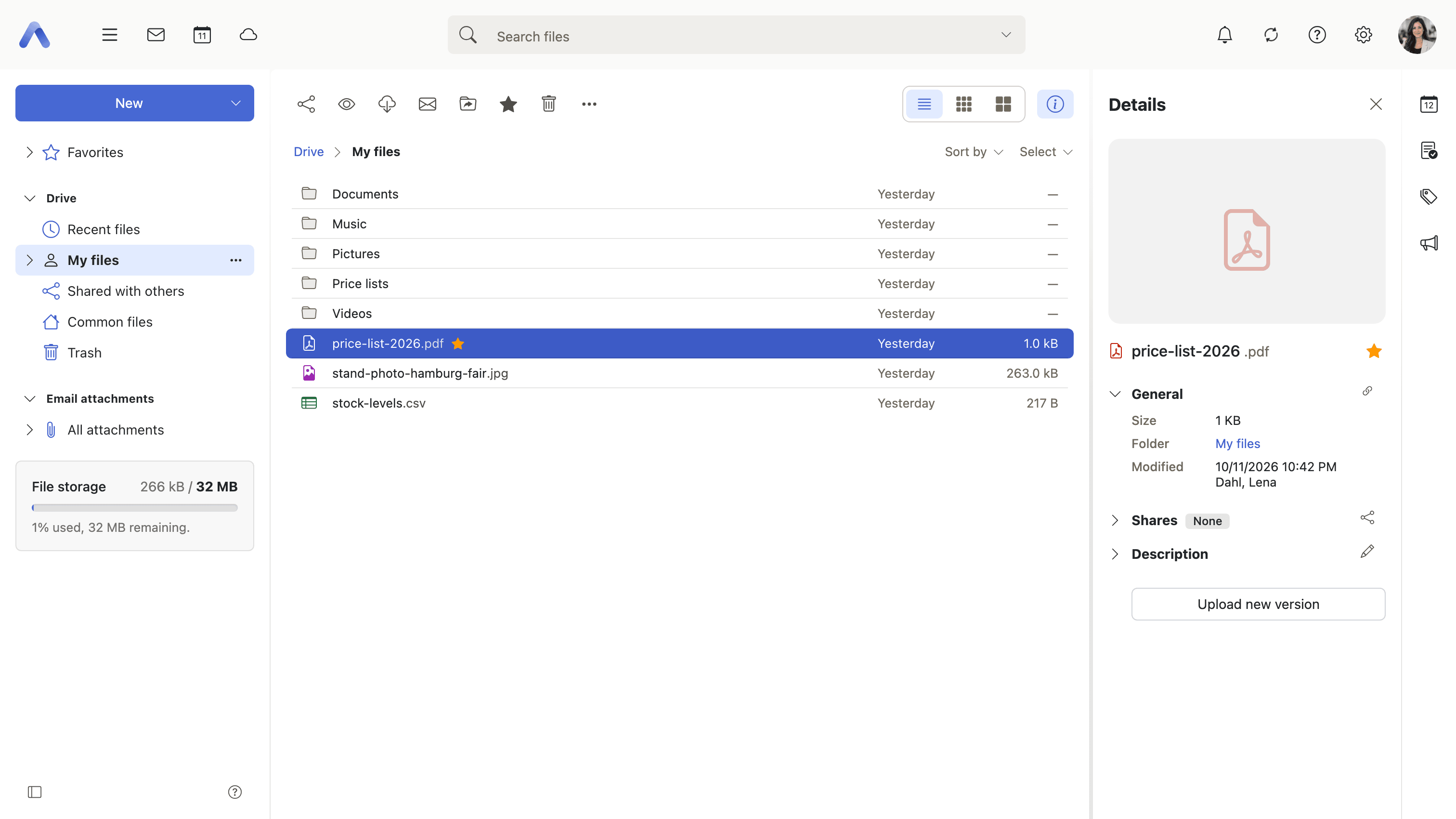 The file list with a document selected, and its details on the right